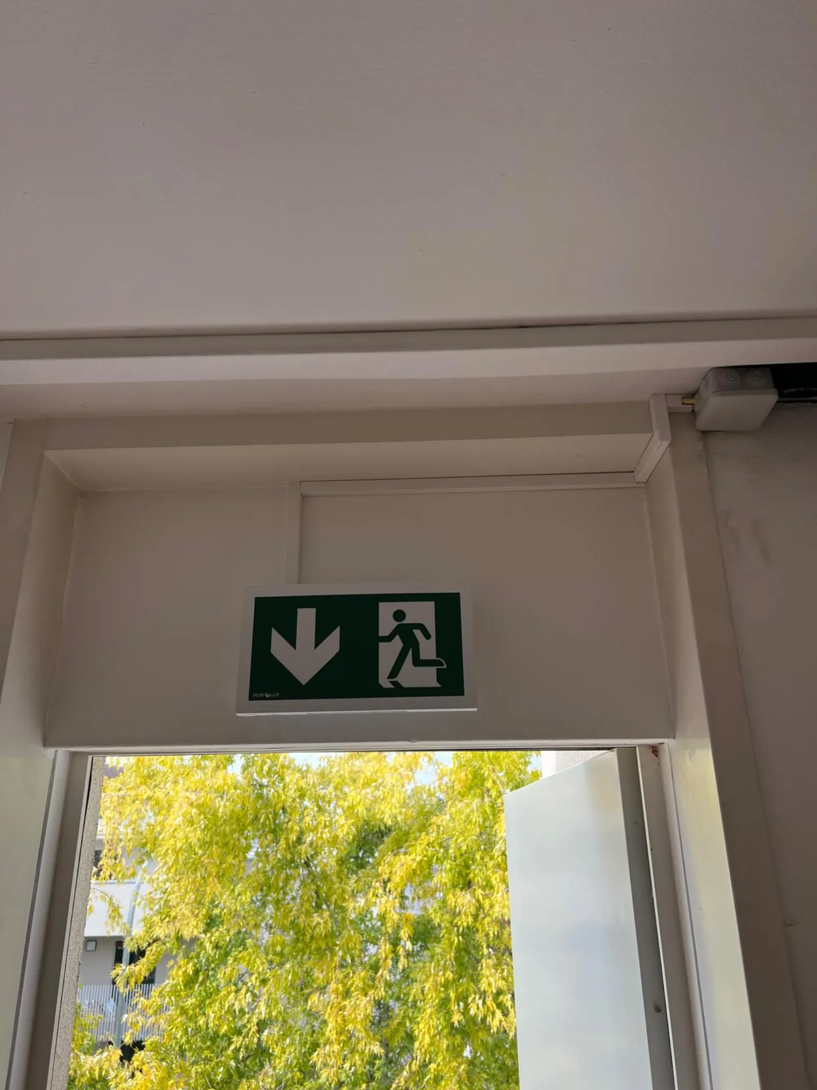 Pictogramme sortie de secours et BAES au-dessus d'une fenêtre